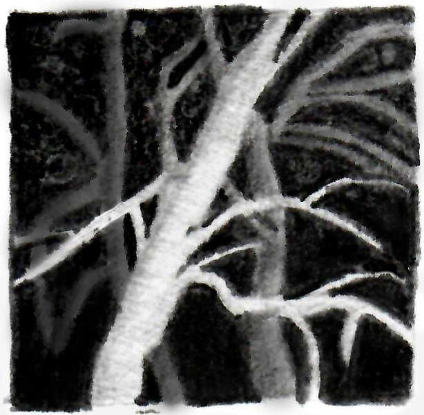 Creating depth with dark values - altered version