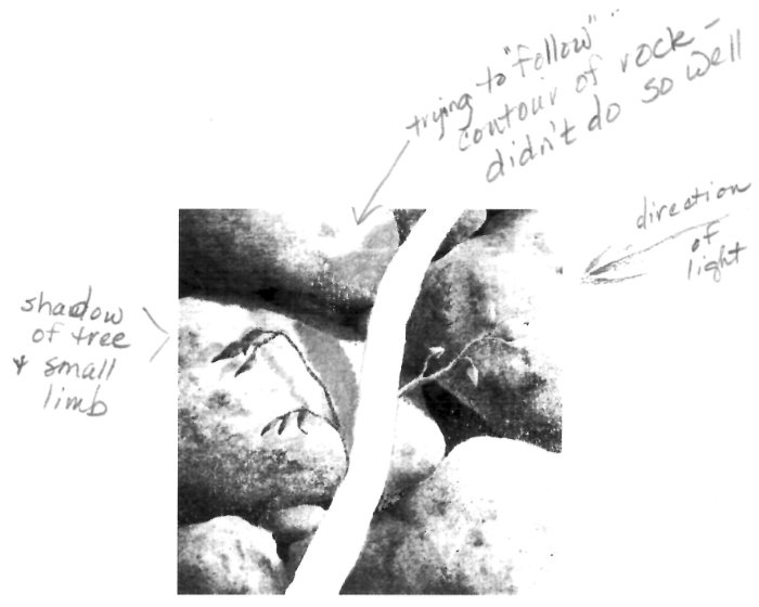 Plotting the shadow of a tree on rocks