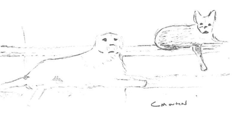 Resizing a dog imported from a separate photo