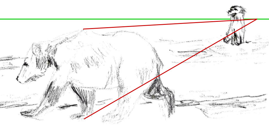 Grizzly Bear and Australian Shepherd Dog