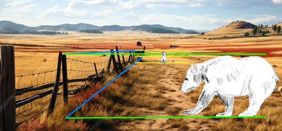 Scene with Grizzly Bear and Australian Shepherd Dog