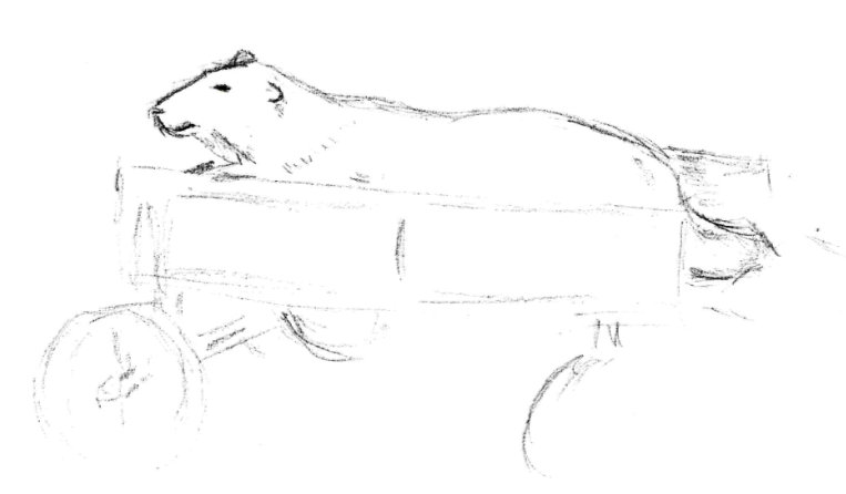Polar Bear in a cart