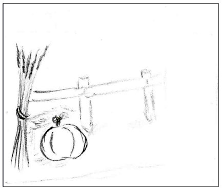 Composition using Rule of Thirds