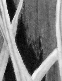detail from Barn wall and grass pencil drawing