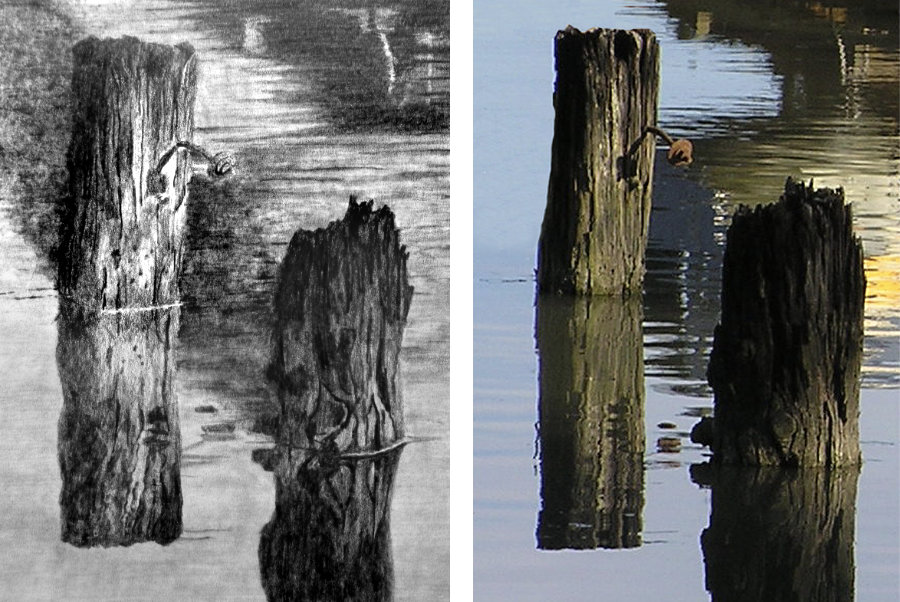 Old wooden piles in the sea: graphite pencil drawing