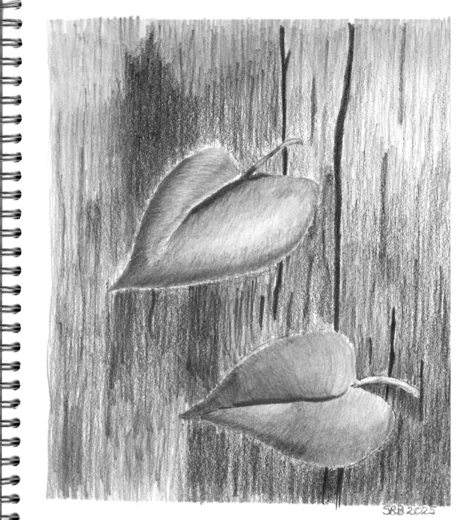 draw leaves on wood using tapered lines